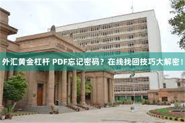 外汇黄金杠杆 PDF忘记密码？在线找回技巧大解密！