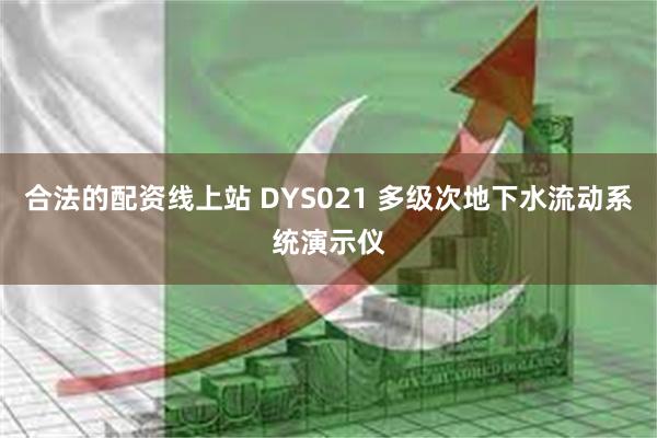 合法的配资线上站 DYS021 多级次地下水流动系统演示仪