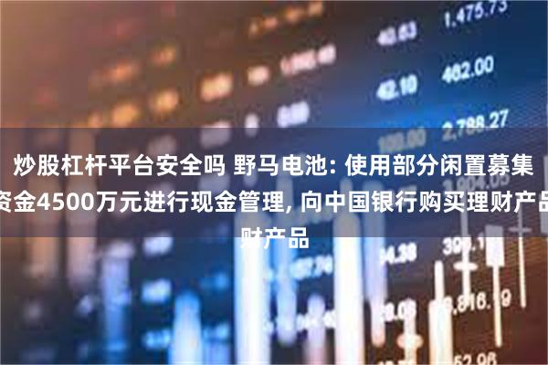 炒股杠杆平台安全吗 野马电池: 使用部分闲置募集资金4500万元进行现金管理, 向中国银行购买理财产品