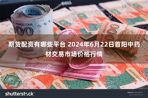 期货配资有哪些平台 2024年6月22日首阳中药材交易市场价格行情